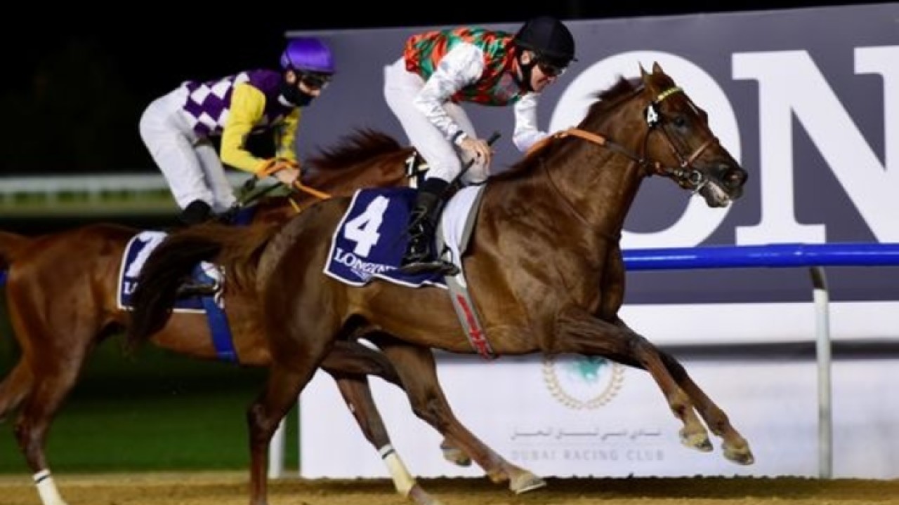 Dubai Kahayla Classic Preview: Old Rival and New Competitors ... Image 2